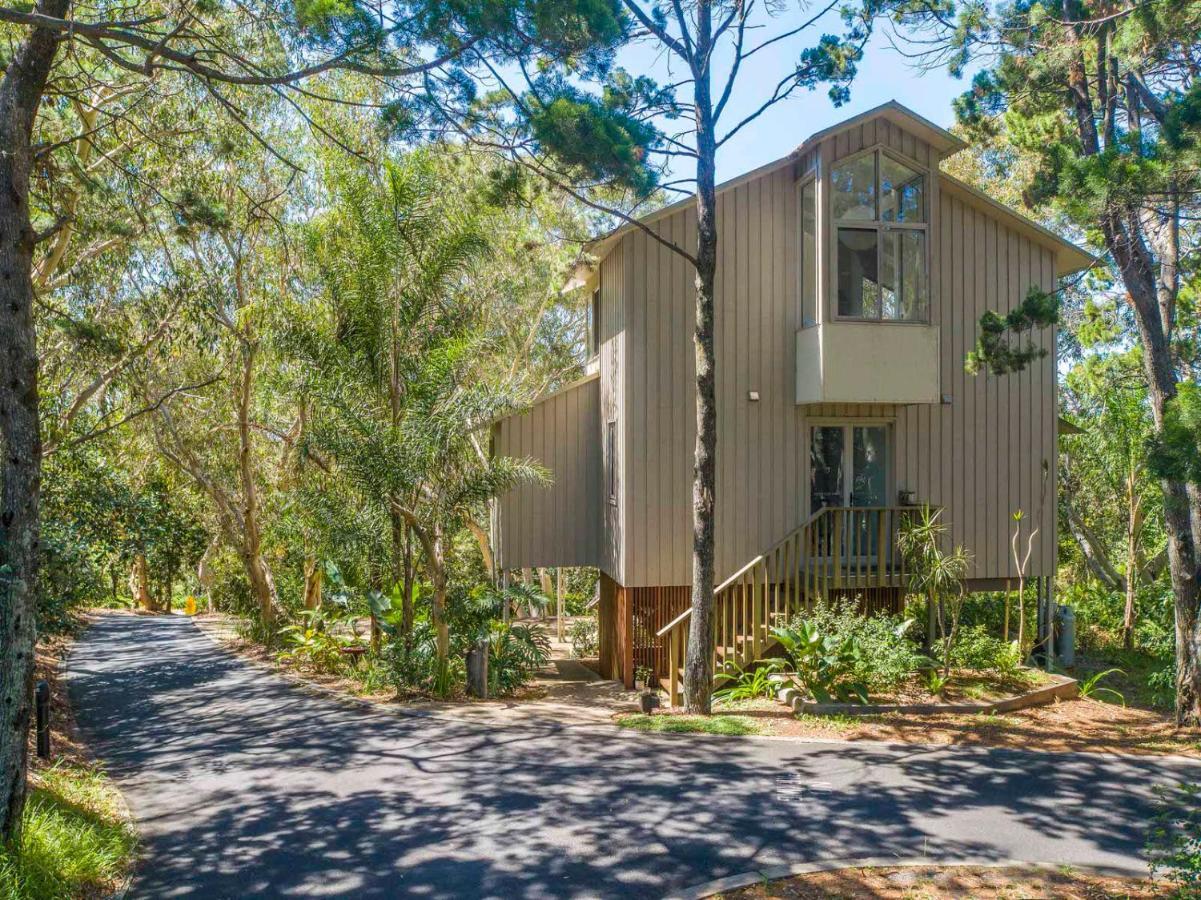 The Oasis Apartments And Treetop Houses Byron Bay Dış mekan fotoğraf