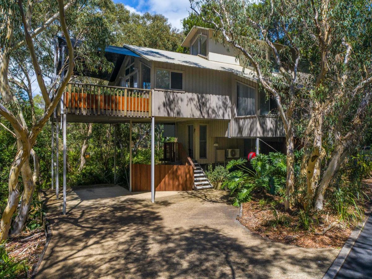 The Oasis Apartments And Treetop Houses Byron Bay Dış mekan fotoğraf