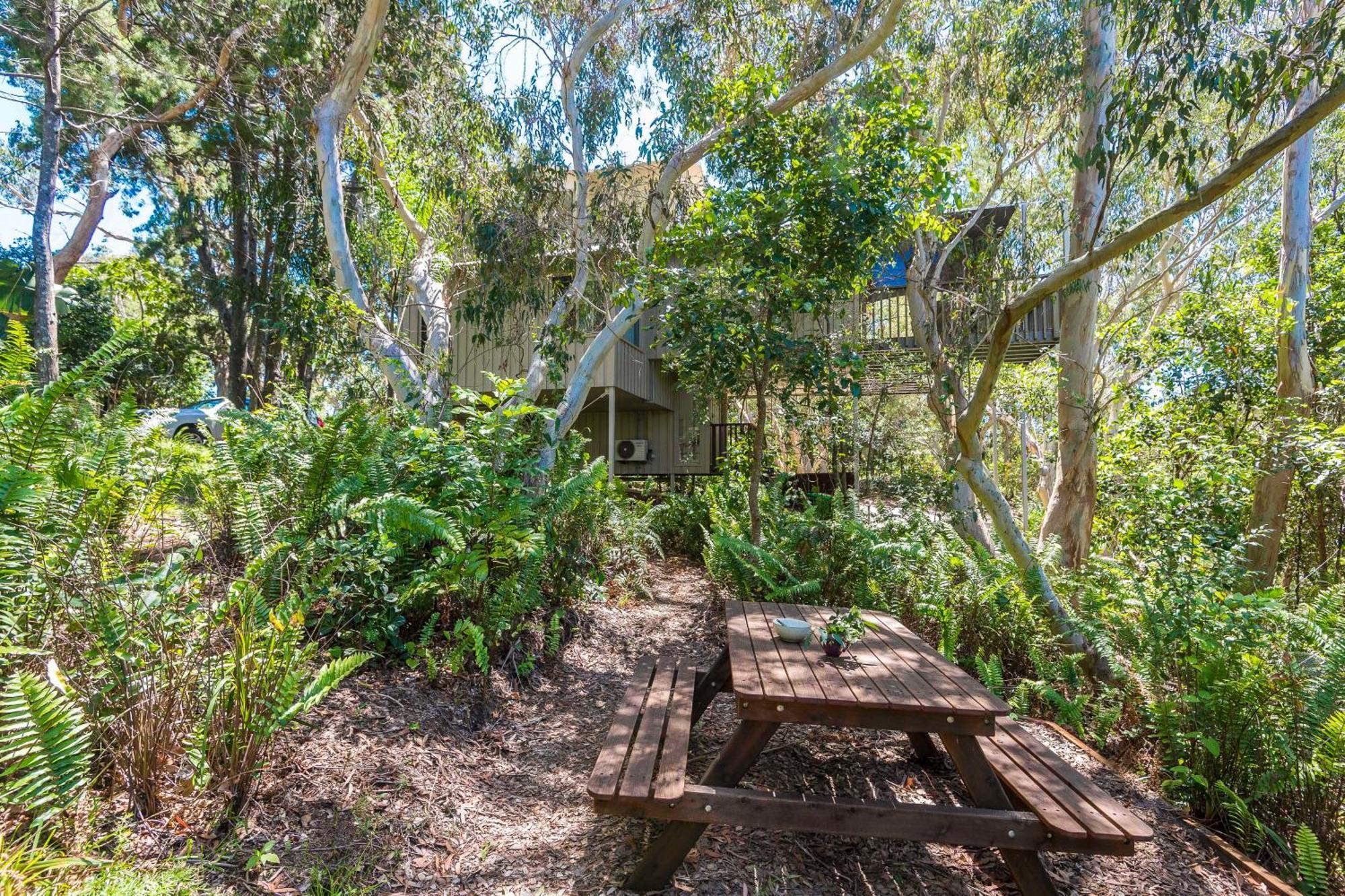 The Oasis Apartments And Treetop Houses Byron Bay Oda fotoğraf